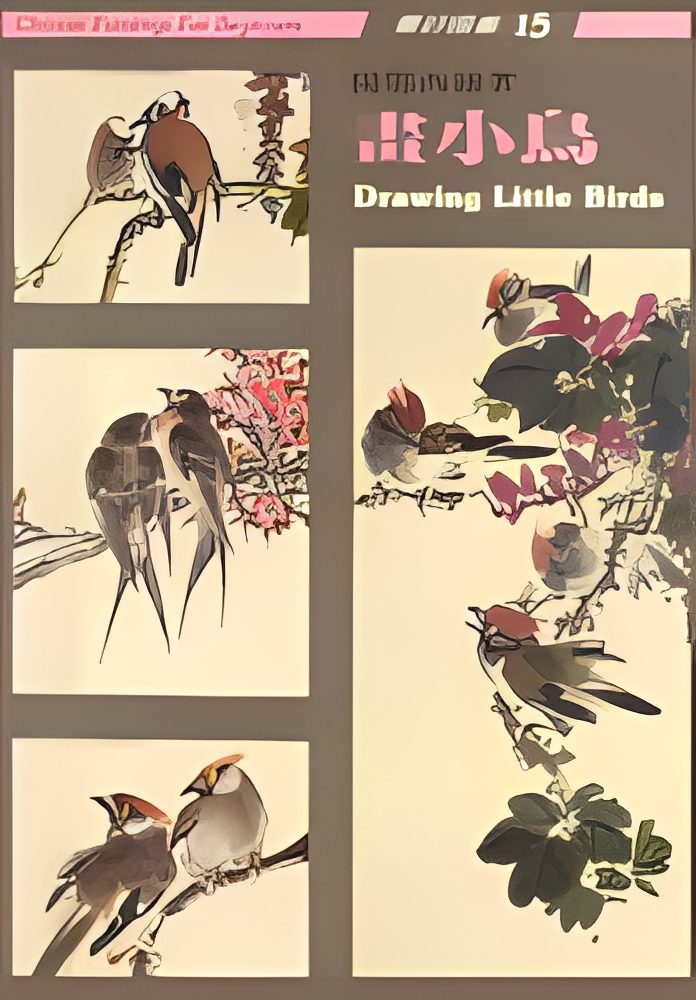 Drawing guide with illustrations of birds.